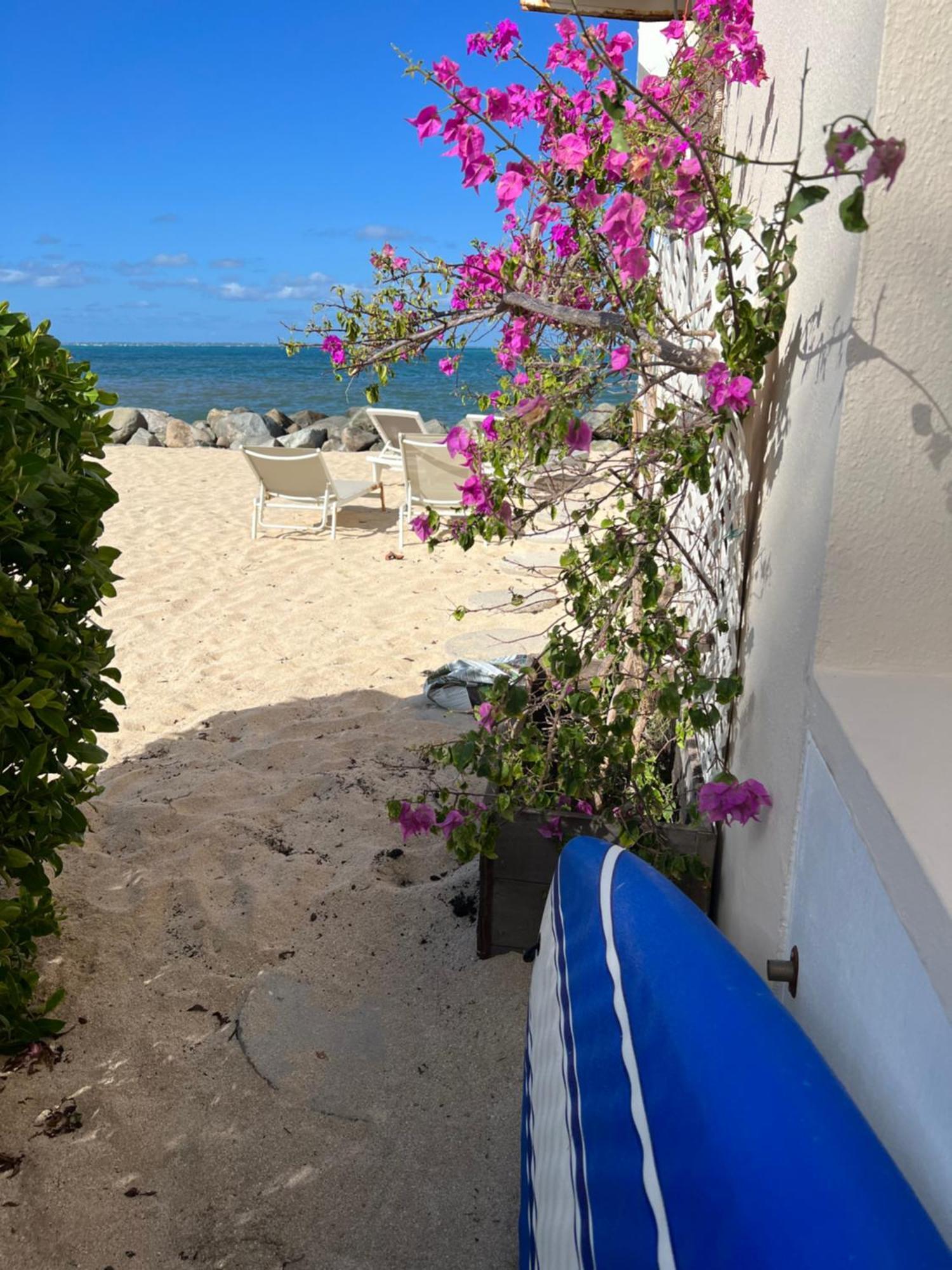 Sweet Home Sxm Baie Nettle Pieds Dans L'Eau Sandy Ground Exterior photo